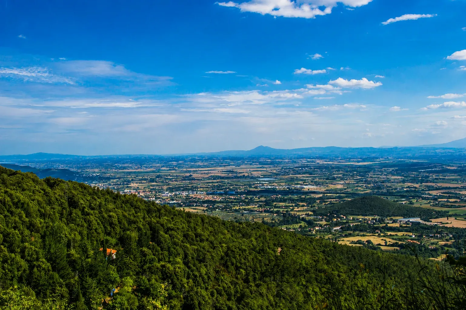 Strada panoramica tra le colline della Valdichiana con cipressi e un borgo in lontananza, punto di partenza per le gite da Cortona