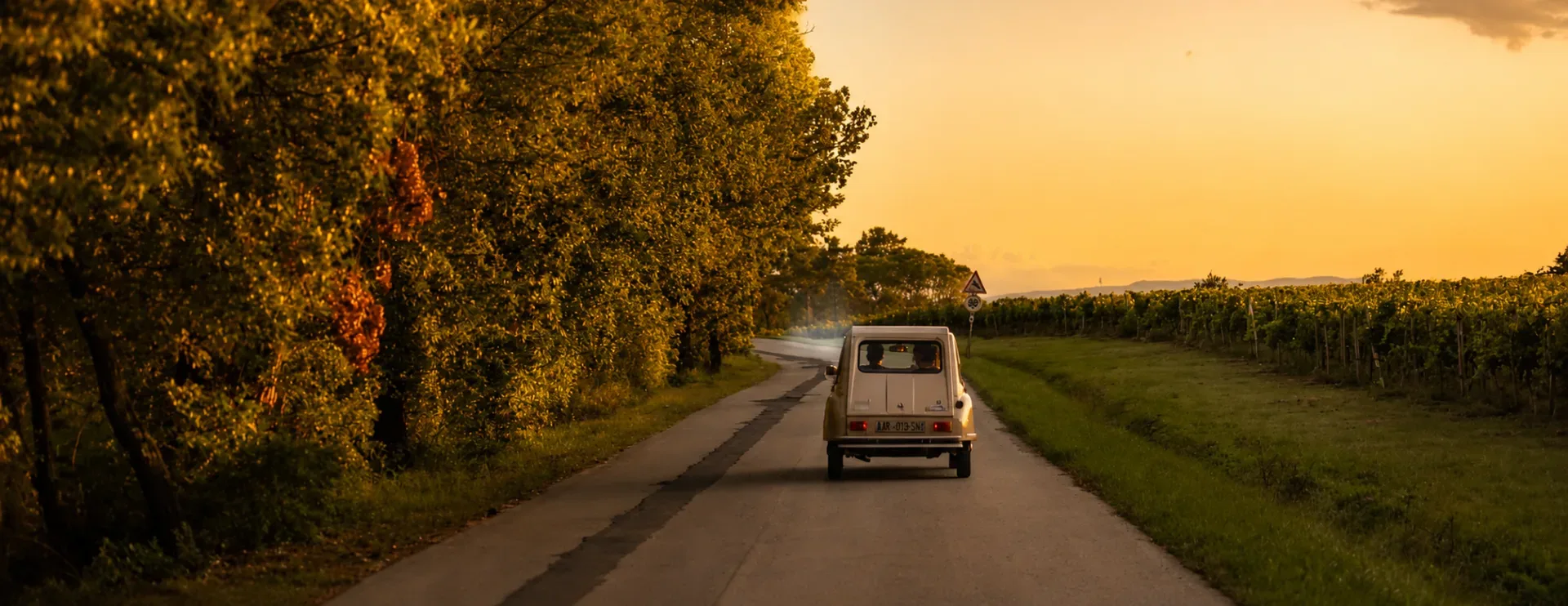 Tra vigne dorate e luce di tramonto, una corsa lenta nella campagna di Cortona. Foto by Migliorati A.