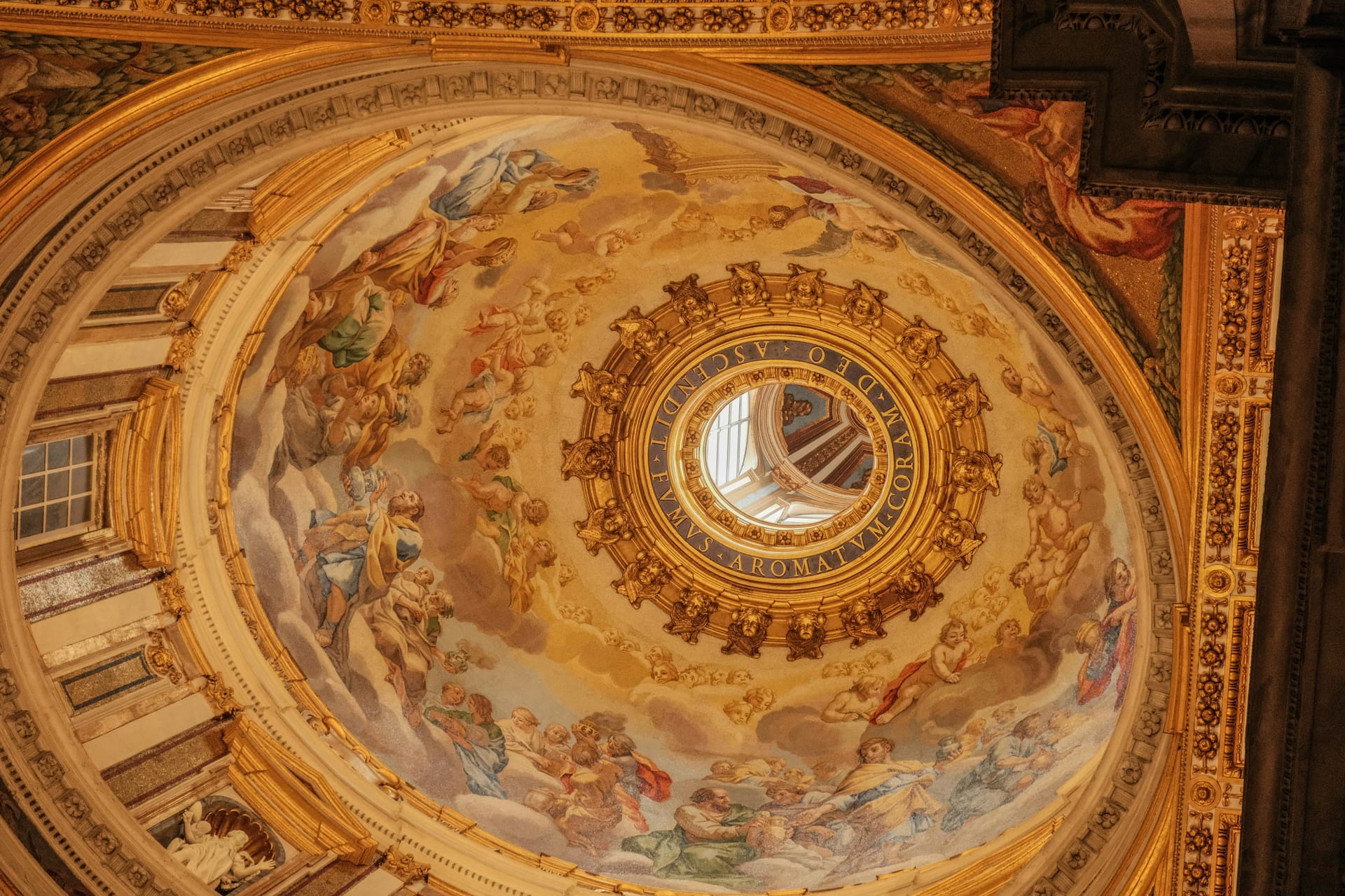 A person seen from behind gazes up at a church's frescoed ceiling, bathed in warm golden light.