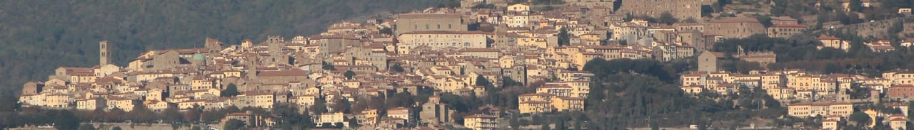 Cortona spread across the hillside, seen from the valley